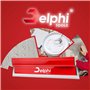 DELPHI Spatule de surface 80 cm/800 mm Lame interchangeable en acier inoxydable 0,3 mm Outil de spatule pour grand espace de tra