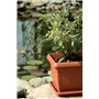 Prosper Plast Dkwt45-r624 45 x 45 x 35 cm Terra Pot à Fleurs en Terre Cuite