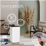 Purification par ionisation