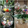 Lot de 30 boules en acrylique incassables - En plastique transparent - À suspendre et à enlever - Idéales pour remplir des décor