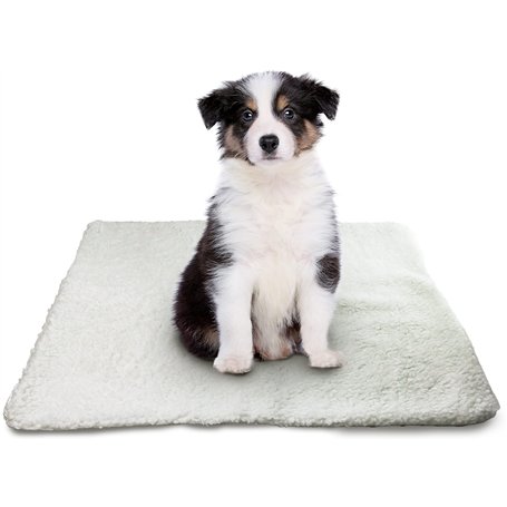 DIVCHI Tapis auto-chauffant pour animal domestique - Couverture chauffante pour animal domestique