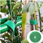 Attache Velcro réglable pour plantes - 20 m - 10 mm - Idéal pour le jardin et les plantes d'intérieur - Vert