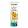 Himalaya Masque au Curcuma - Réduit visiblement les taches brunes et l'apparence des pores - 75ml