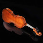 Aileen Violon 4/4 Enfant, Débutant Violin Set avec Manuel d'Utilisation