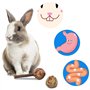Xinzistar 17 Pcs Jouet pour Lapin, Accessoire Lapin, pour Jouets à Mâcher de Cochon d'Inde Hamster Chinchilla Gerbille