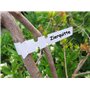 HomeTools.eu® 100 pièces de rubans d'inscription, plantes arbres arbustes, plastique 21 x 2cm, résistant aux intempéries avec bo