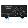 Nobsound 100W Subwoofer Amplificateur de puissance mono Amplificateur de puissance numérique Mini Audio Amp (Sans alimentation)
