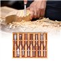 Lot de 12 Ciseaux de Sculpture sur Bois, Ensemble D'outils de Sculpture sur Bois Professionnels avec 12 Couteaux, Boîte de Range