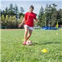 Rhinocerosdance 50 Pièces Plots de Marquage Cônes de Marquage Cone de Signalisation, Materiel Entrainement Football avec Poignée
