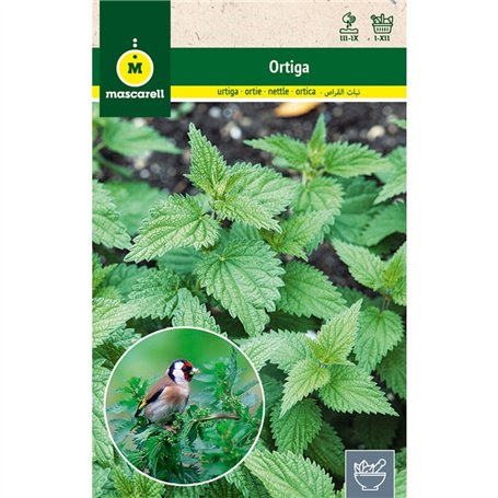Mascarell - Graines d'ortie - Graines d'herbes aromatiques à planter - Créez votre propre potager à la maison - 0