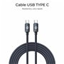 Câble USB-C vers USB-C Subblim SUBCAB-C06002 Noir 2 m