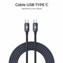 Câble USB-C vers USB-C Subblim SUBCAB-C06002 Noir 2 m
