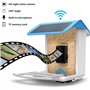 Nichoir Intelligent avec caméra et Panneau Solaire, mangeoire pour Oiseaux avec Enregistrement vidéo en Direct et Reconnaissance