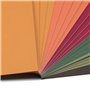 Florence Papier Cartonné Autocollant Couleurs Assorties - A4 - Automne - 24 feuilles - 216 g/m² - Lisse - Papier Auto-Adhésif po