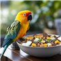 Nobleza - Nourriture pour Perruches, Graines pour Oiseaux de Qualité Supérieure, Alimentation pour Oiseaux Savoureuse et Saine(5