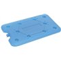 Accumulateur de Froid 25 x 14 x 1 cm - Couleur choisie aléatoirement