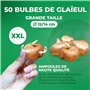 Glaïeuls Botanique Nanus Mix collection, 50 bulbes, mélange de bulbes de fleurs pour jardin et pots, mélange de 7 couleurs et va