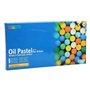 Pastel Huile Mungyo Pigmentation Extra-fine Texture Onctueuse Pouvoir Couvrant 70mm Diamètre 11mm Lot de 48 Assortis