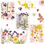 Vraies Fleurs Pressées Séchées 66 Pièces