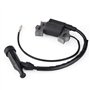 bobine d'allumage pour GX110 GX140 GX120 GX160 GX200 bobines d'allumag