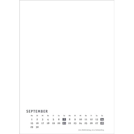 Jeu de société pour Apprendre l'anglais AGO Q&A: Coffret de 3 Jeux de Cartes pour découvrir Le vocabulaire de l'anglais Quotidie