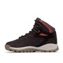 Columbia NEWTON RIDGE PLUS WATERPROOF AMPED Chaussures Montantes De Randonnée Et Trekking imperméables Femme, Marron (Timber x C