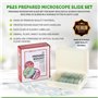 AmScope PS25P Lot de 25 Lames de Microscope préparées pour l'éducation Scientifique Biologique de Base, avec étui en Plastique a