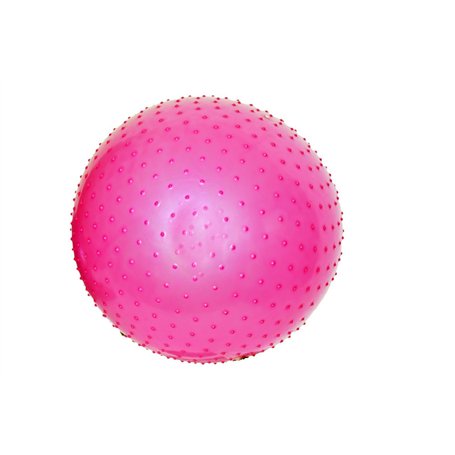 ENDLESS Ballon de Yoga Anti-éclatement de 55 cm | Ballon d'exercice en PVC épais pour Fitness