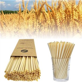 100 Pailles de blé bio de pailles écologiques pailles biodégradables respectueuses de l'environnement