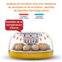 Incubateur pour Poussin avec Rotation Automatique