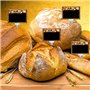Lot de 30 etiquettes de prix porte prix tableau de prix marqueur PLASTIFIÉS pour la boulangerie avec impression SIMILAIRE au tab