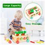 Wisplye Jouets Montessori Éveil Bebe Enfant 1 2 3 4 Ans, 7 en 1 Jeux de Ferm en Bois Récolte de Carottes, Peche Magnetique, Tri