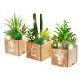 BEGONDIS Lot de 3 plantes succulentes artificielles avec lumières LED dans une boîte en bois