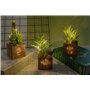 BEGONDIS Lot de 3 plantes succulentes artificielles avec lumières LED dans une boîte en bois, plantes artificielles en plastique