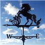 Alnicov Girouette en métal de cheval, girouette pour animaux avec décorations de jardin sur le toit pour auvent de jardin en ple