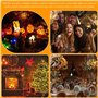 WIYETY Lot de 30 guirlandes lumineuses LED : 2 m Mini guirlandes lumineuses à piles, guirlande lumineuse en fil de cuivre étanch