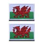 2 Pièces Drapeau UK Galles Dragon Gallois Patch Tactique Militaire Emblème National Applique Crochet et Boucle pour Chapeau Sac