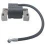 Beehive Filter - Bobine d'allumage de rechange pour moteurs monocylindre horizontal et vertical de 7 à 16 CV Briggs & Stratton 3