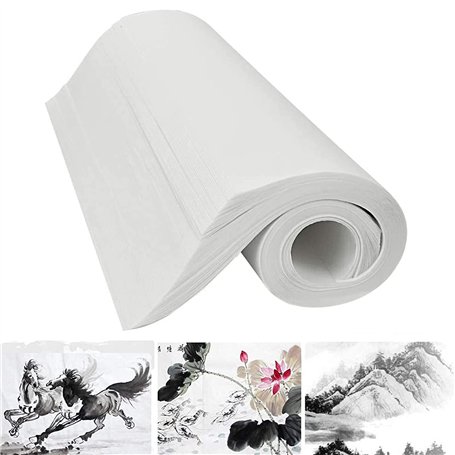 120 Papier de Riz en Panneau de Pulpe