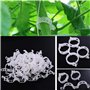 Plante Clips Support de Plantes pour Légumes Tomates et Plants de Vignes Lot de 100 Pinces à Plantes en Plastique Blanc Réutilis