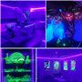 BAOMING UV Light LED Strip 3M USB Powered Black Light DC5V 12W Flexible Blacklight Strip Lights, Non Imperméable à l’eau, Décor 