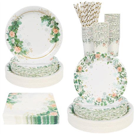 Lot de 50 assiettes jetables en carton vert sauge pour 50 personnes