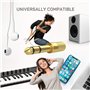 Adaptateur pour casque audio 3,5 mm vers prise jack 6,35 mm - Adaptateur jack pour casque audio 1/4" - Convertisseur auxiliaire 