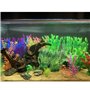 Plantes artificielles d'aquarium,10 Pack Plantes en Plastique décorations pour aquariu,Aquarium Plante Ornement