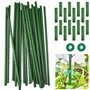 EUIEUT 24 Pcs Tuteur Plante Grimpante 11mmX40cm, Tuteur Plante Intérieur en Acier Plastifié, Piquets de Support pour Plantes Rég