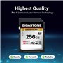 Gigastone A2 V60 Carte Mémoire SDXC 256 Go, 4K Caméra Pro Série, Vitesse 120 Mo/s. Compatible avec Caméra Canon Nikon Sony Panas