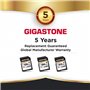 Gigastone A2 V60 Carte Mémoire SDXC 256 Go, 4K Caméra Pro Série, Vitesse 120 Mo/s. Compatible avec Caméra Canon Nikon Sony Panas
