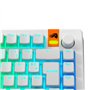 Glorious Gaming - Touches GPBT Aura RGB : Capuchons Pudding, PBT doubleshot, translucides, Blanc, pour claviers mécaniques Custo