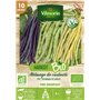 Vilmorin Haricot rame mix bio 10m