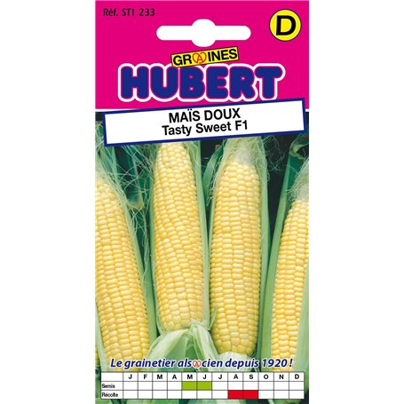 Graines de Maïs doux Tasty Sweet F1 - 3 grammes